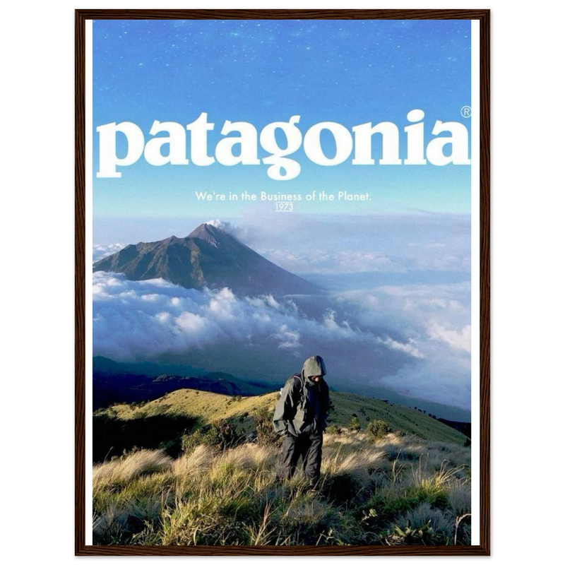 Patagonia We're in the Business of the Planet Vintage Poster Ad