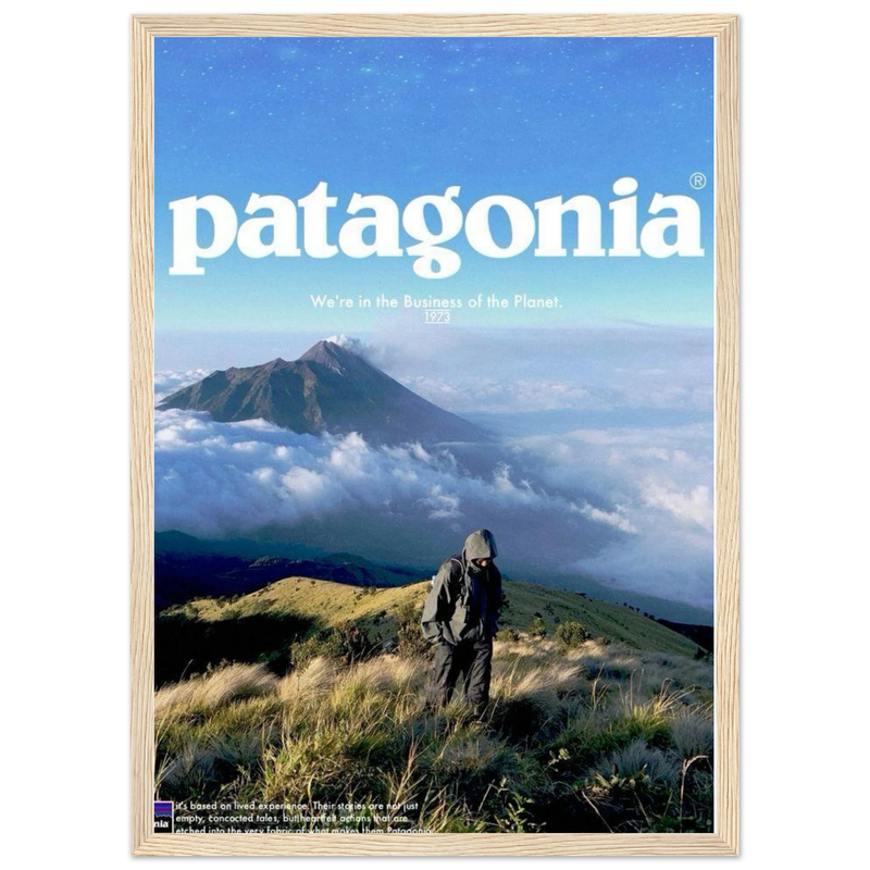Patagonia We're in the Business of the Planet Vintage Poster Ad
