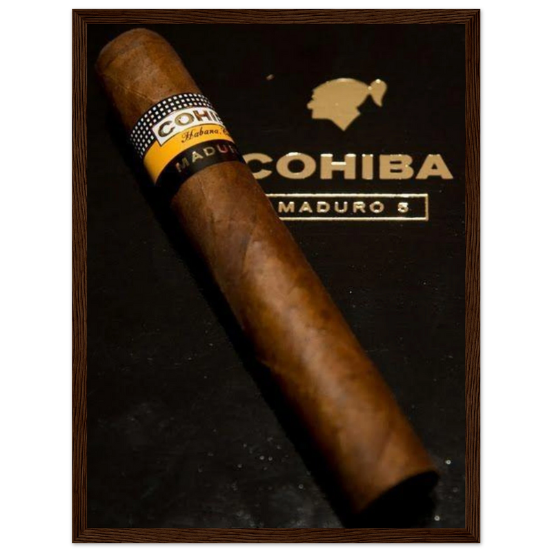 Cohiba Maduro 5 Vintage Cigar Poster