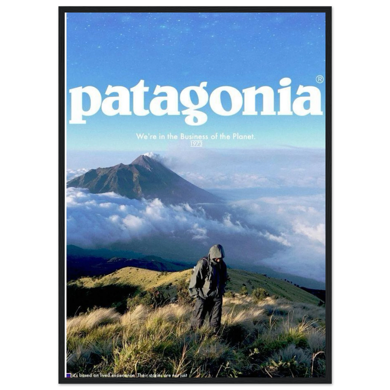 Patagonia We're in the Business of the Planet Vintage Poster Ad