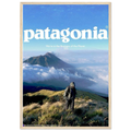 Patagonia We're in the Business of the Planet Vintage Poster Ad