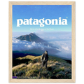 Patagonia We're in the Business of the Planet Vintage Poster Ad