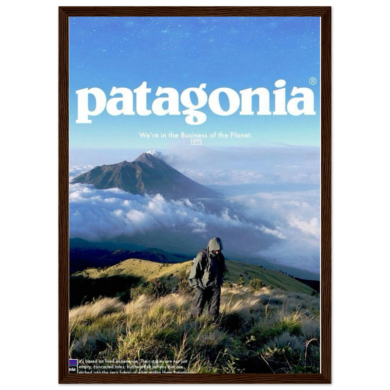 Patagonia We're in the Business of the Planet Vintage Poster Ad