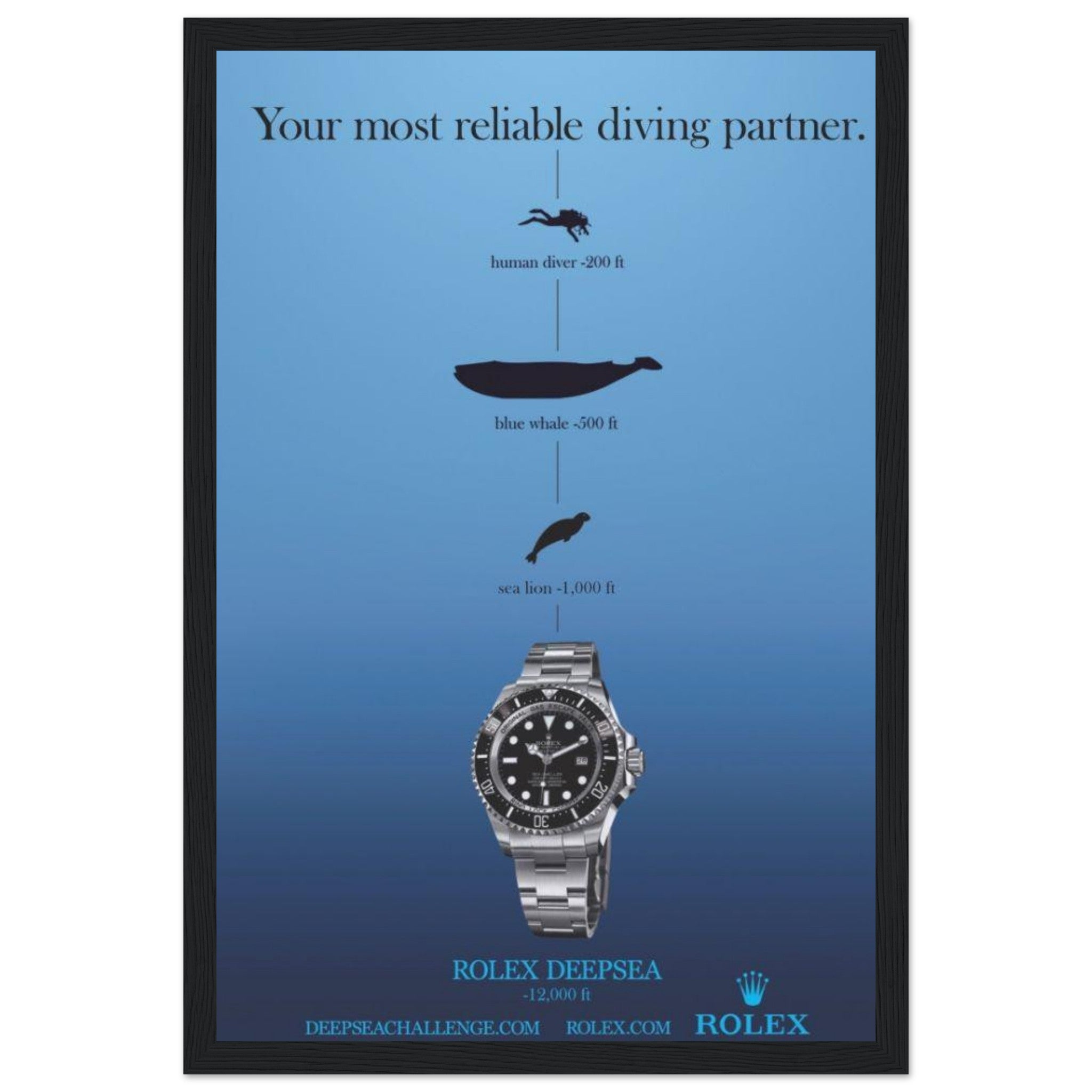 c4fea6e2-8e2f-4097-b252-2d9cc71ceae1