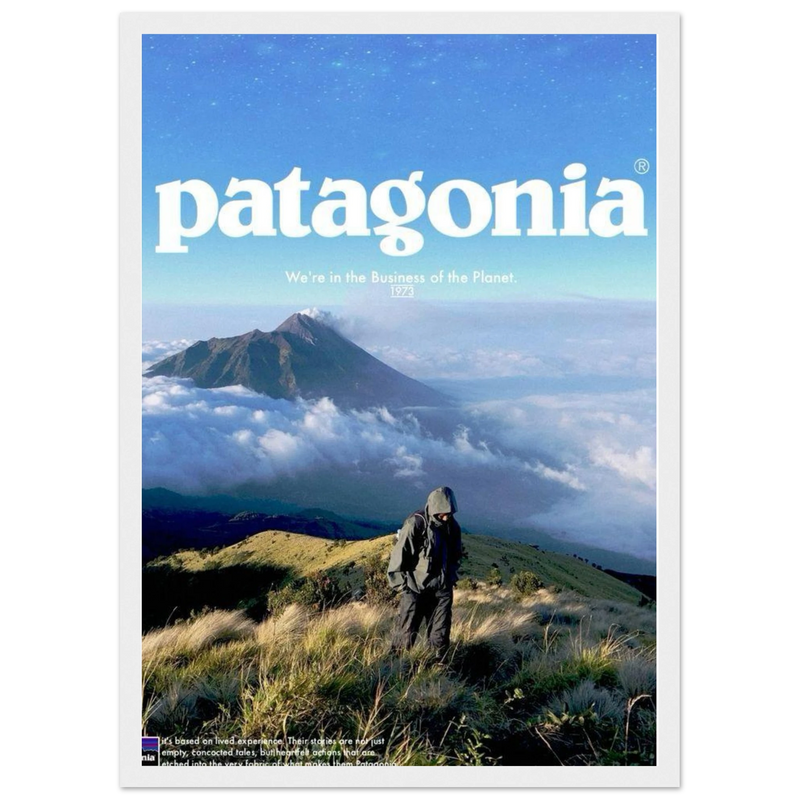 Patagonia We're in the Business of the Planet Vintage Poster Ad