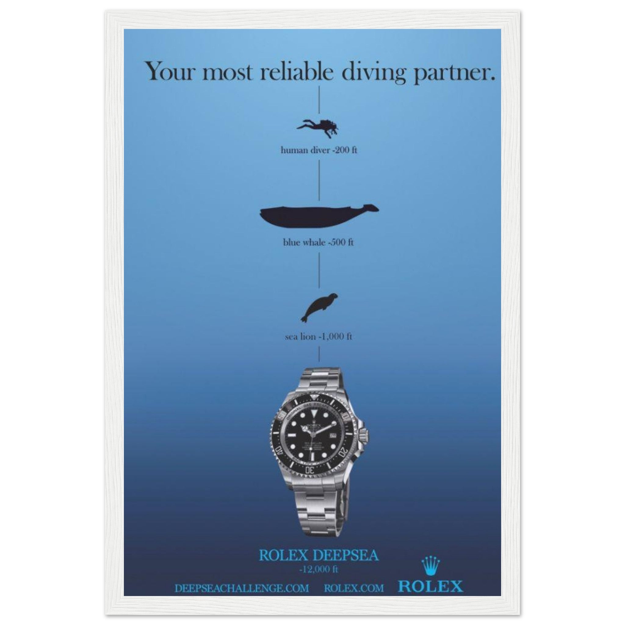 d5786315-3d74-4719-92c7-d5ded6af720f