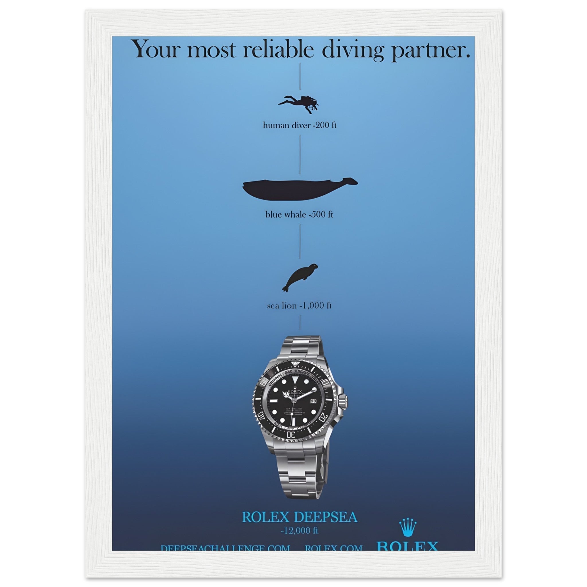 d57dd192-31c8-47fb-b907-6207e667812e