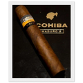 Cohiba Maduro 5 Vintage Cigar Poster