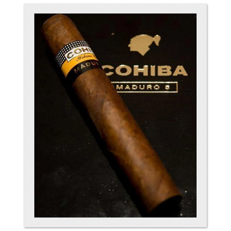 Cohiba Maduro 5 Vintage Cigar Poster