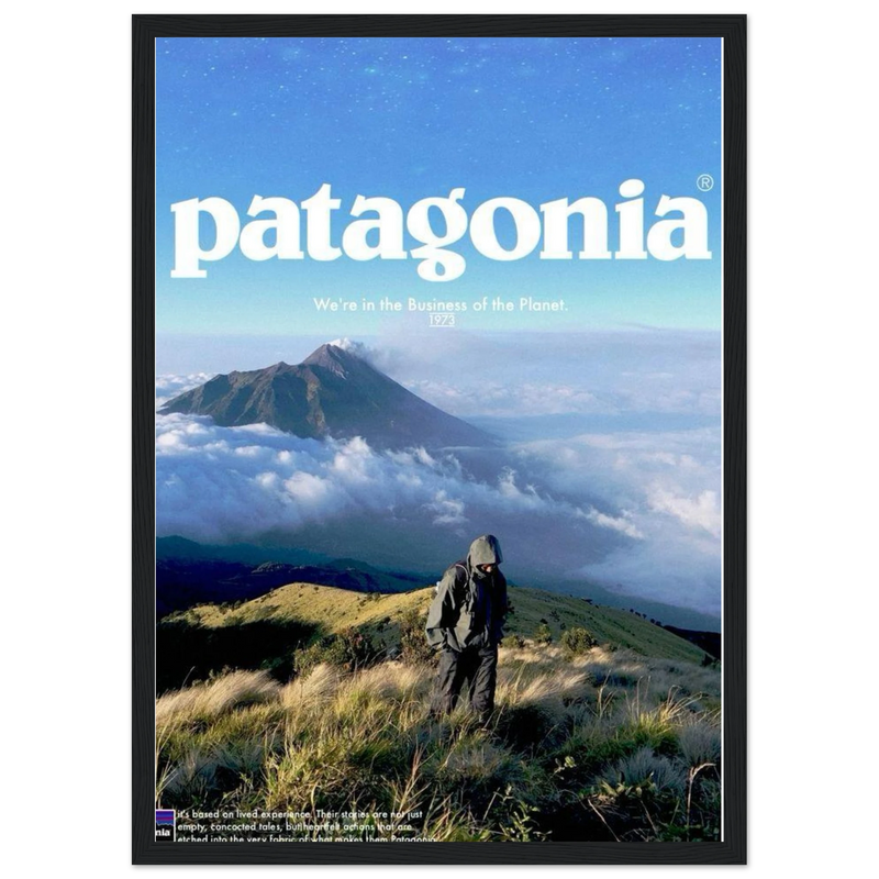 Patagonia We're in the Business of the Planet Vintage Poster Ad