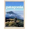 Patagonia We're in the Business of the Planet Vintage Poster Ad