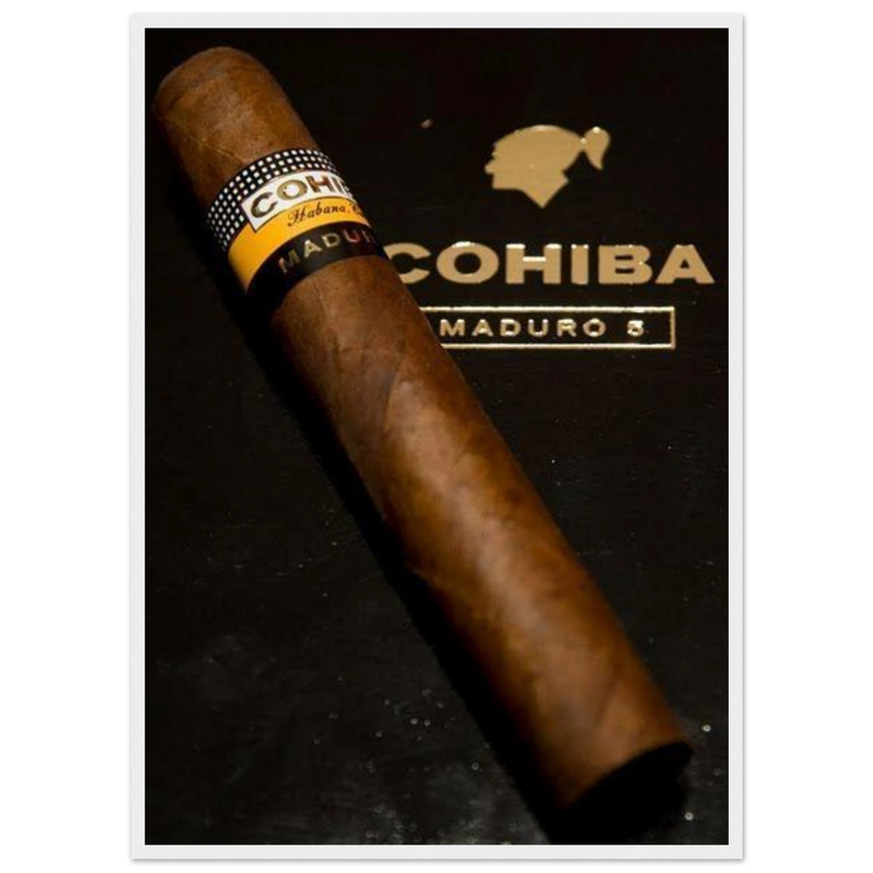 Cohiba Maduro 5 Vintage Cigar Poster