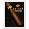 Cohiba Maduro 5 Vintage Cigar Poster