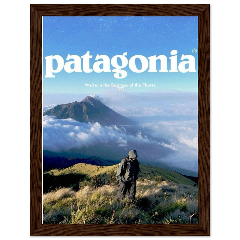 Patagonia We're in the Business of the Planet Vintage Poster Ad